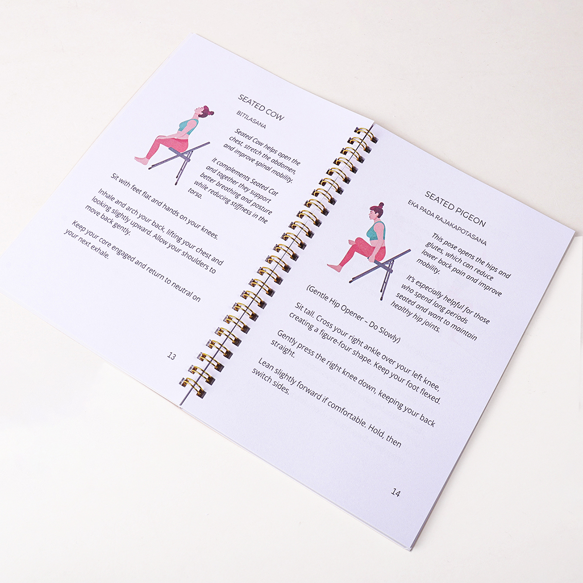 30 Day Chair Yoga Guide Weight - Yoga Fitness Ring ulasan dan harga
